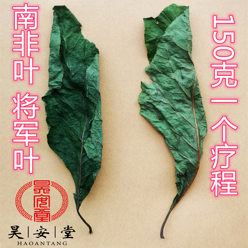 昊安堂南非叶将军叶斑鸠菊将军树非洲叶 满300克纯干叶送30克
