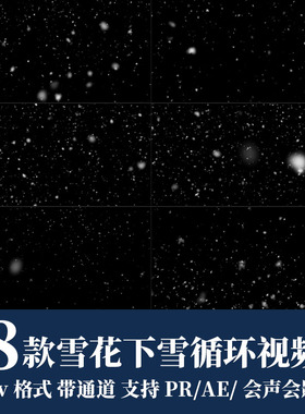pr/ae视频素材雪花风雪下雪暴雪粒子mov动画alpha透明通道可循环
