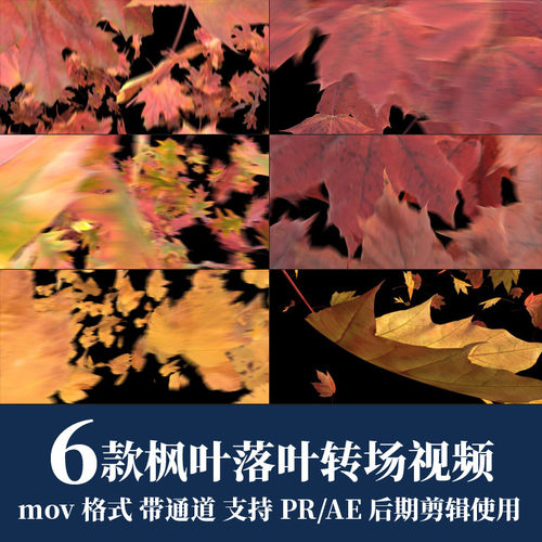 pr视频素材树叶枫叶落叶转场动画mov动画alpha透明通道ae剪辑合成