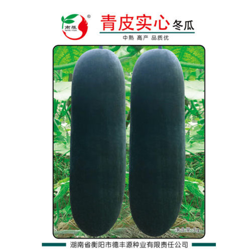 南雁衡阳蔬菜研究所四季蔬菜种子菜籽农场基地青皮实心冬瓜种子
