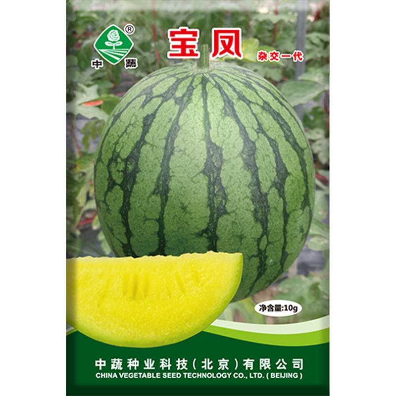 中国农科院黄瓤小西瓜种子绿皮黄家庭园艺种子