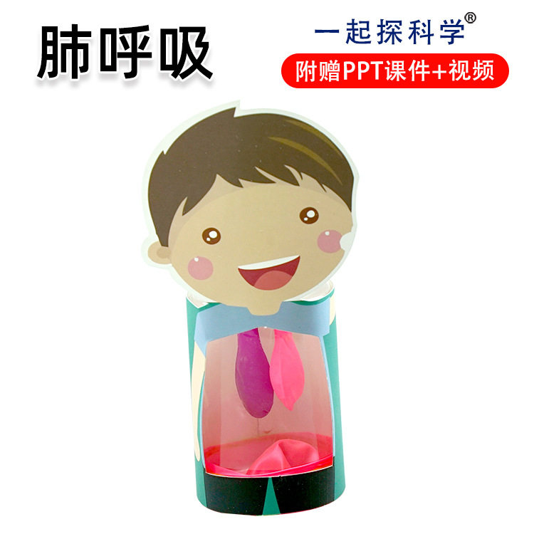 模拟肺呼吸教具幼儿园手工小制作