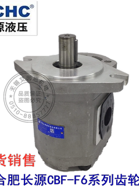 合肥长源齿轮泵电动泵CBF-F650/F663/F671/F680/F690/F6100-AFP