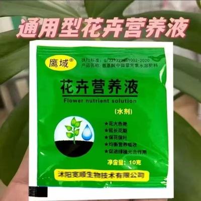 营养液水培植物营养液通用养花小包独立包装丰富营养巴西木营养液