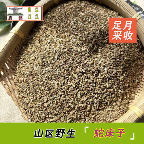 野生蛇床子神农架野生药材地肤子