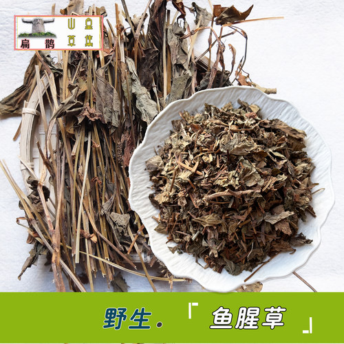 野生鱼腥草神农架鱼腥草