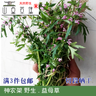 3份 包邮 茶女性调理茶可做益母草膏配芍药花调理 野生益母草