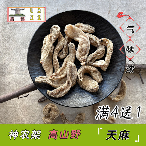 野生天麻神农架高山滋补药材