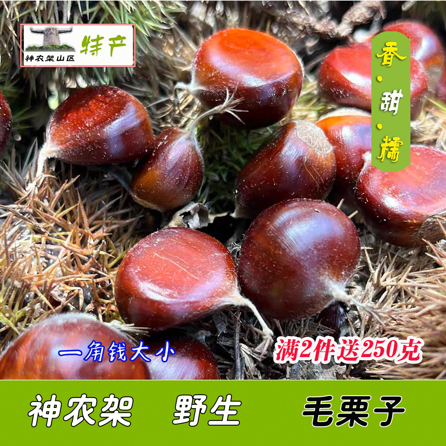 新鲜野生毛栗子生小板栗子香糯甜