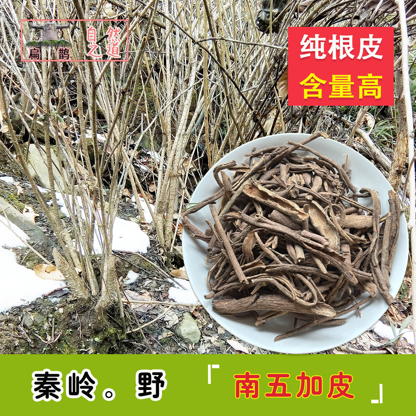 神农架高山 南刺五加皮白刺目骨追风使泡酒腰腿250克滋补药材包邮