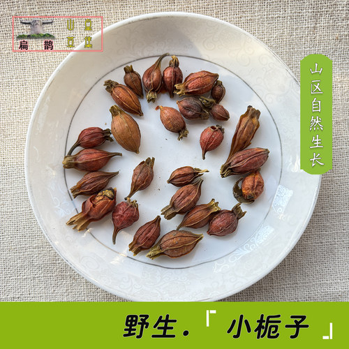 高山栀子野生神农架滋补250克