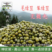 神农架高山农家毛绿豆 包邮 无抛光自种小笨绿豆汤500克 全店3件