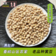 土黄豆 老品种黑肚脐农家自种500克打豆浆豆芽 3件 高山山区 包邮