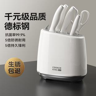 炊大皇抗菌刀具厨房套装组合全套家用菜刀防锈防霉不锈钢切菜刀架