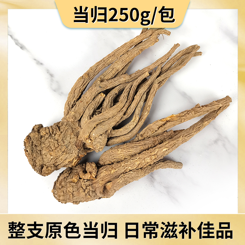 当归整根原支大当归新货甘肃岷县原色无硫当归可搭黄芪250g