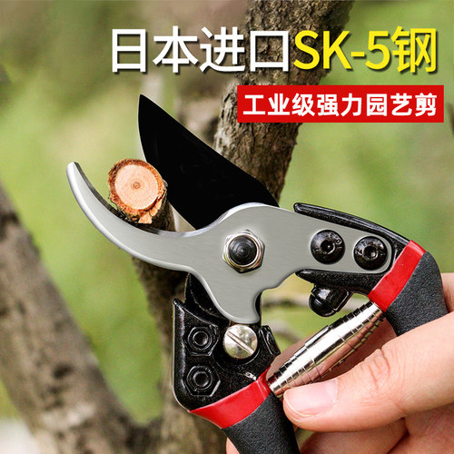 SK5省力修枝剪刀果剪粗树枝剪家用园林园艺剪子修理花枝采摘盆景