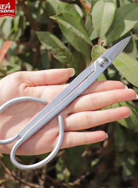 盆景盆栽修枝剪枝叶芽剪兰花剪子剪刀园艺剪稀果剪刀家用插画剪子