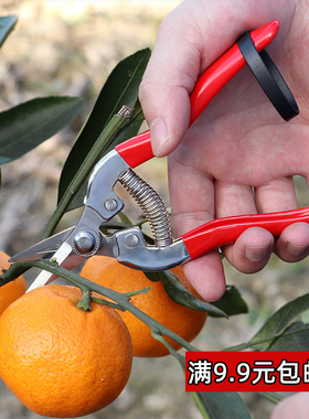 修枝剪果树枝剪刀采摘稀果剪葡萄橘子柑橘桔子家用花艺插花园艺剪
