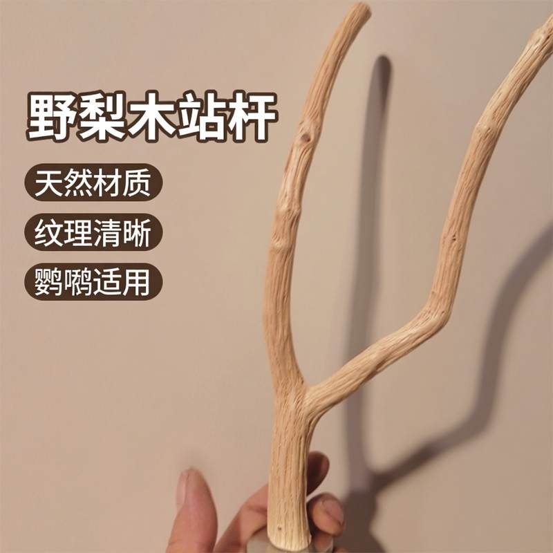 站杆定制分叉长20厘米粗1.5厘米野梨木天然随型树权纹理清晰配304,宠物/宠物食品及用品,鸟玩具,淘宝优惠券,粉丝福利购,淘宝优惠卷