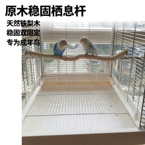 达洋笼子站杆B6045 6047笼内站杆铁梨木站杆两头固定原木双头站杆