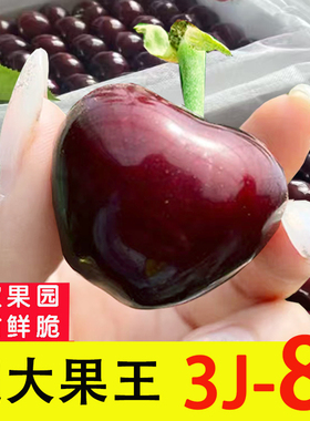 大连樱桃8j美早大樱桃7j新鲜水果当季车厘子6j礼盒果园发孕妇顺丰
