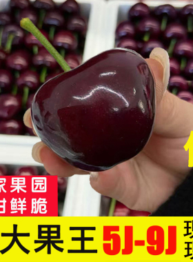 大连樱桃9j美早大樱桃8j新鲜水果应季整箱7j车厘子6j礼盒孕妇顺丰