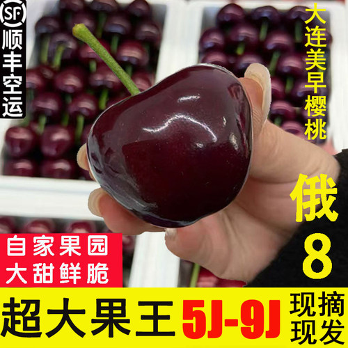 俄8大连冰库大樱桃7j6j当季新鲜
