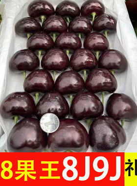 俄8大樱桃9j大连樱桃8j俄罗斯八号车厘子美早7j新鲜水果5斤礼盒