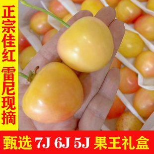 大连黄樱桃新鲜水果包邮佳红大樱桃非雷尼车厘子孕妇黄金车厘子
