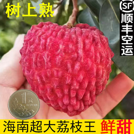 海南荔枝王新鲜水果无核白糖桂滋笑荔枝5斤礼盒整箱孕妇顺丰包邮
