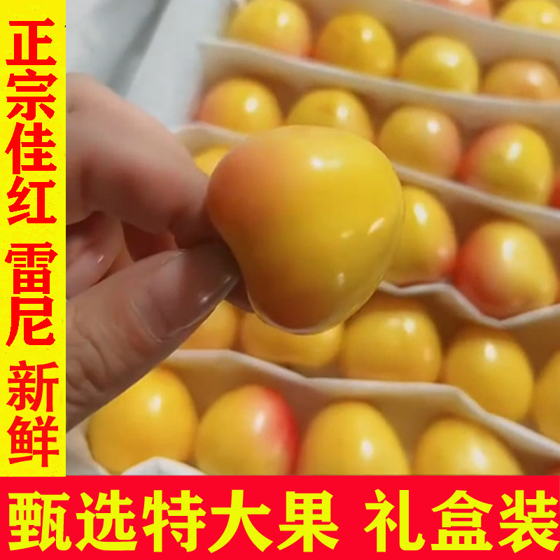 大连黄樱桃新鲜水果顺丰佳红7j大樱桃美早6j非雷尼黄金车厘子礼盒