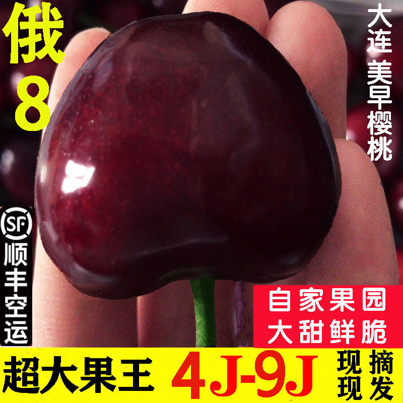 俄8大连樱桃9j美早大樱桃8j车厘子7j新鲜水果俄罗斯八号果王礼盒