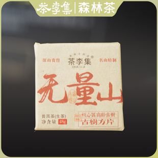 【茶李集】2024年无量山 古树生茶方片48g/片