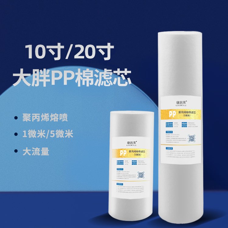 大胖PP10寸20寸去除铁锈泥沙红虫