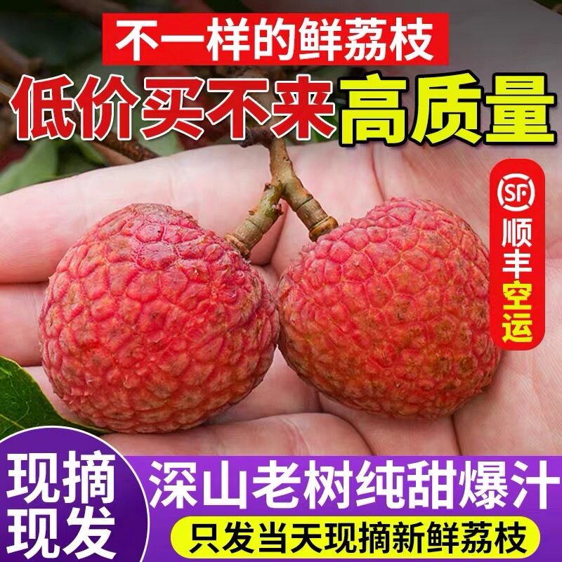 老树白糖罂荔枝新鲜摘广东茂名高州荔枝糯米桂妃子味笑糍水果顺丰