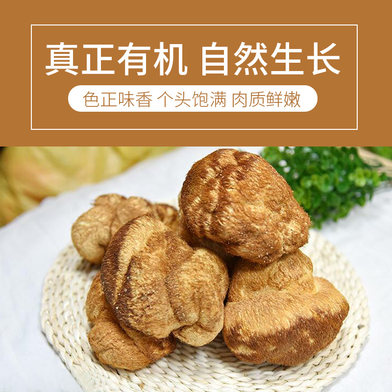 Õý×Ú¶«±±Ò°ÉúºïÍ·¹½¸É»õÑøÎ¸ºï¹½Ìؼ¶500g°üÓÊÅ©¼Ò³¤°×ɽºïÍ·¹½·Û