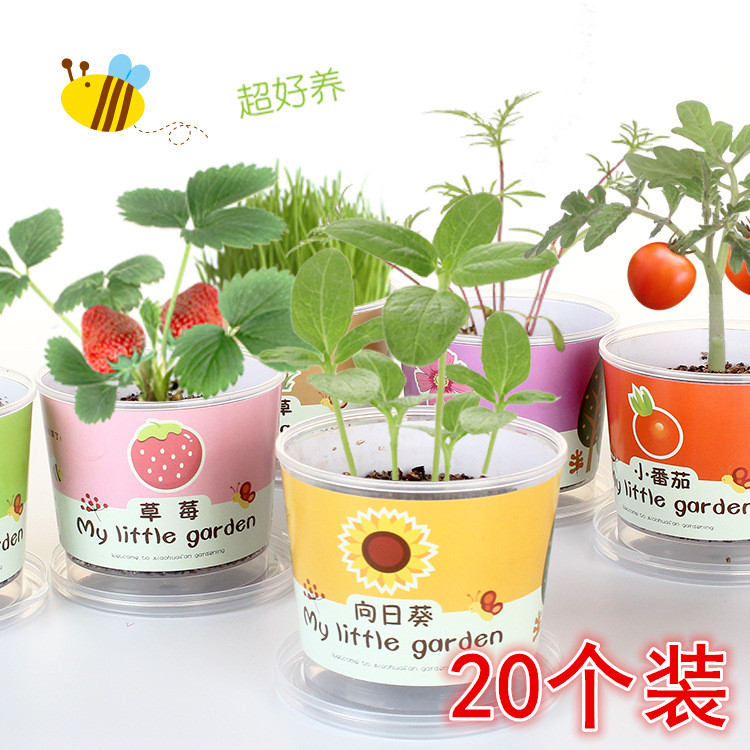 活动小学生奖励六一节儿童节分享生日小礼品实用幼儿园全班伴手礼