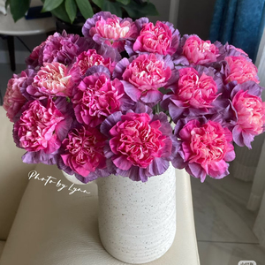 康乃馨鲜花云南直发基地同城速递配送水养花束昆明生日母亲节礼物