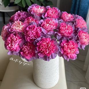 康乃馨鲜花云南直发基地同城速递配送水养花束昆明生日母亲节礼物