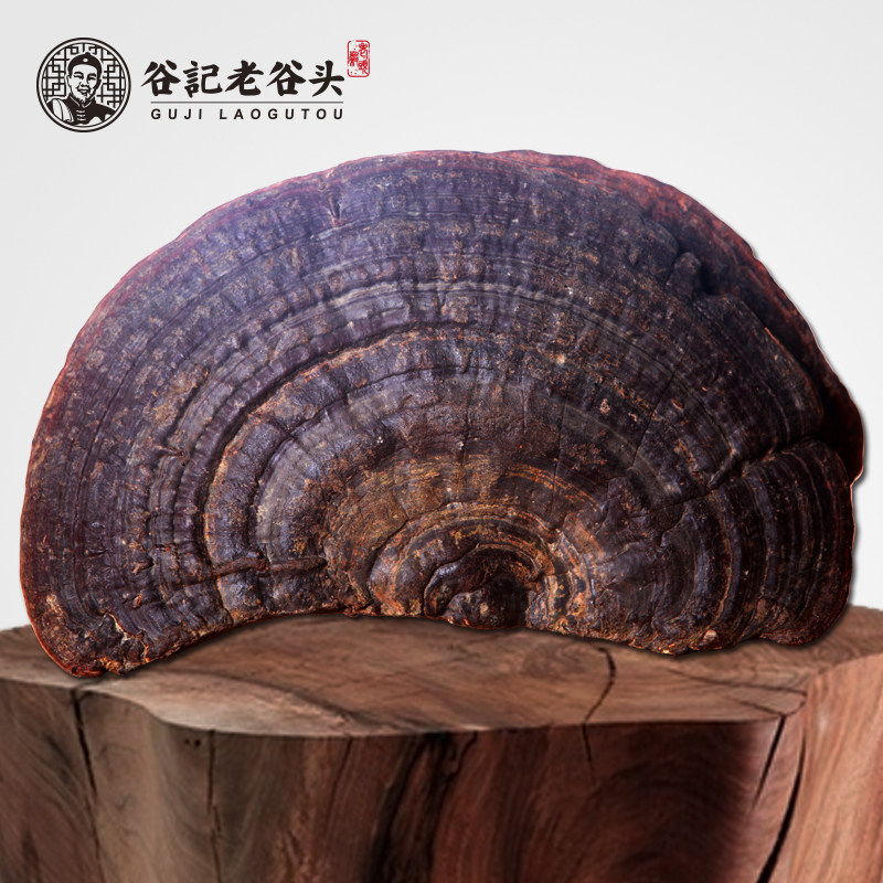 老谷头生灵芝户外生长无柄赤芝赤灵芝红芝林芝元精芝灵芝片,传统滋补营养品,整枝灵芝,淘宝优惠券,粉丝福利购,淘宝优惠卷