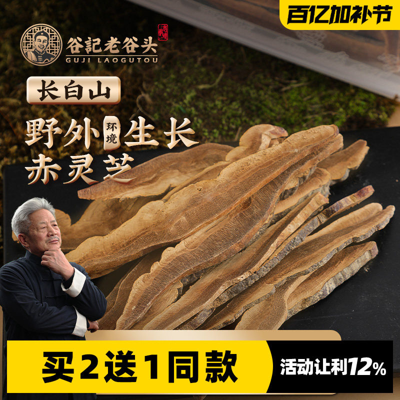 老谷头户外生长赤灵芝片自然长白山灵芝切片斗龙芝泡水泡茶