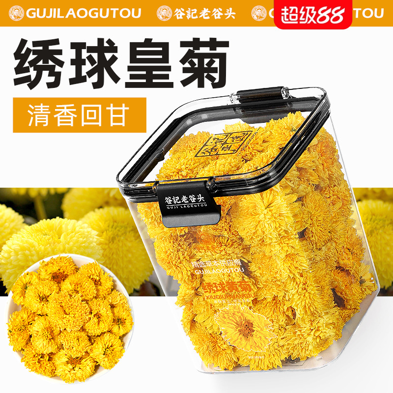 绣球黄菊，菊香浓郁，均匀饱满