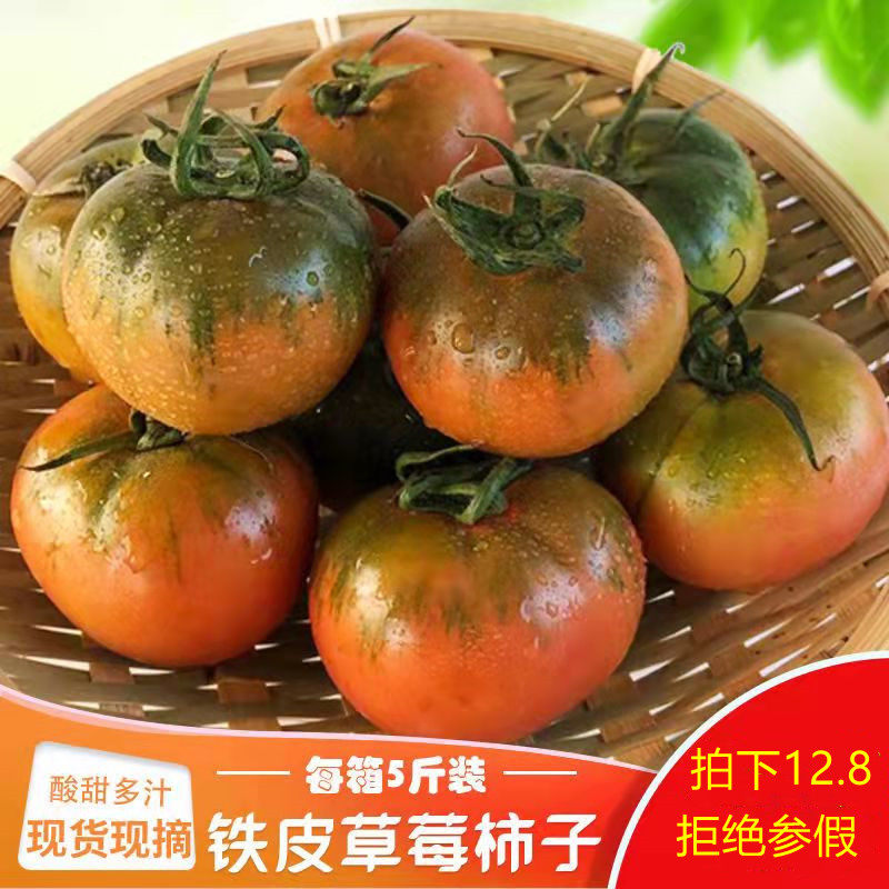 铁皮柿子酸甜可口现摘现发