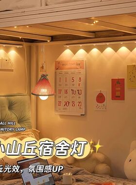 氛围灯LED宿舍床上用小灯寝室上铺好物小夜灯磁吸灯条夜间不插电