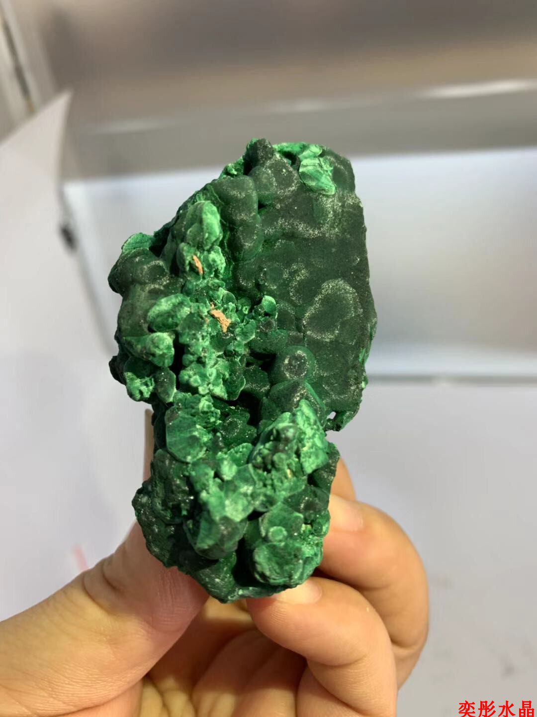 老挝绒毛孔雀石矿物晶体教学标本奇石头原石收藏品观赏石量大优惠在类目 饰品/流行首饰/时尚饰品新, 摆件中 - 来自Buy2taobao.com提供专业的淘宝代购服务