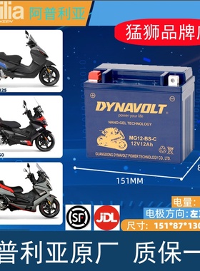 阿普利亚SRMAX250 300 SR300 SR250 SR150摩托车电瓶12v10a蓄电池