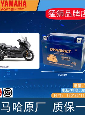 光阳AK550雅马哈TMAX560猛狮电瓶