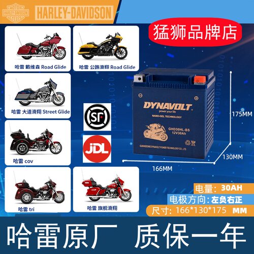 猛狮电瓶春风动力沙滩车550