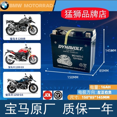 天浪AN650宝马1200GS猛狮电瓶