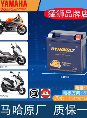 雅马哈山叶鸭子BWS125X猛狮电瓶